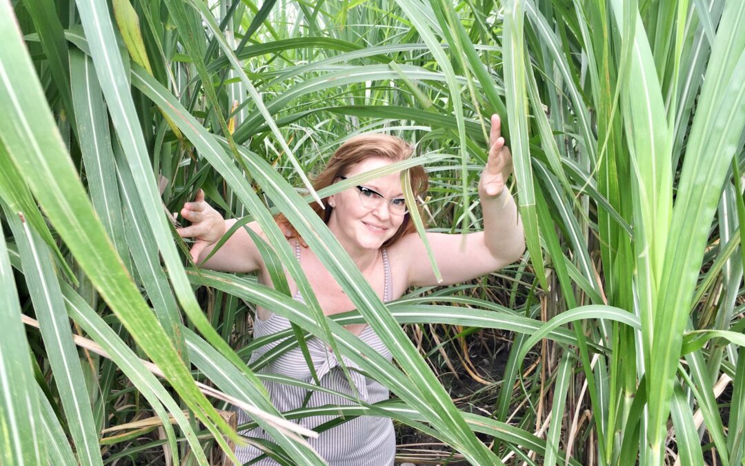 Around the world and back with rum