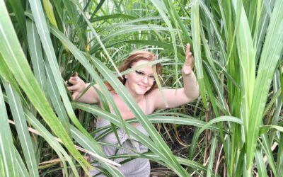 Around the world and back with rum