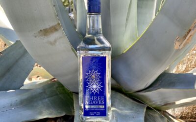 The promises and pitfalls of Karoo agave